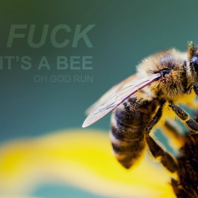 1920 x 1080 HD Wallpapers 1515